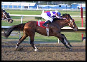 Classic Contenders Line Up in Lexington Classic Contenders Line Up in Lexington