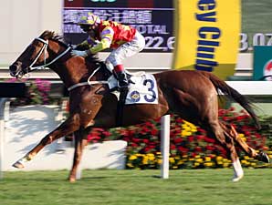 Hong Kong's Horse of the Year Upset Hong Kong's Horse of the Year Upset