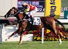 Hong Kong's Horse of the Year Upset