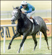 El Prado's Fee Upped to $75,000 El Prado's Fee Upped to $75,000