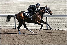 Gross, Median, Average Soar at Barretts March Select Juvenile Auction Gross, Median, Average Soar at Barretts March Select Juvenile Auction