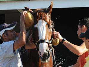 El Padrino - Churchill Downs 5/2/2012