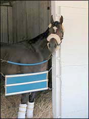 Empire Maker Arrives at Churchill Downs Empire Maker Arrives at Churchill Downs