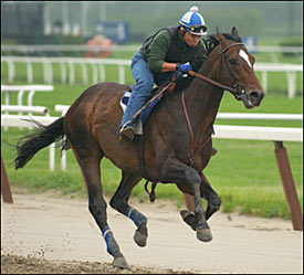 Empire Maker Zips in Saratoga Workout Empire Maker Zips in Saratoga Workout