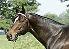 Empire Maker Remains at $100,000 Empire Maker Remains at $100,000