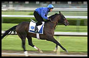 Steve Haskin's Derby Report (4/25): Day of Godolphin Steve Haskin's Derby Report (4/25): Day of Godolphin