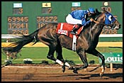 Louisiana Downs Race Report: Essence of Hope Louisiana Downs Race Report: Essence of Hope