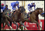 Essence of Dubai Wins UAE Derby by Half-Length Essence of Dubai Wins UAE Derby by Half-Length