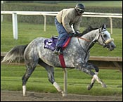 Four Classic Contenders Turn in Final Works Four Classic Contenders Turn in Final Works