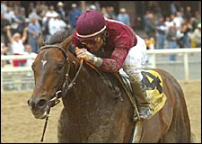 Eye Of The Tiger Romps to Affirmed Win Eye Of The Tiger Romps to Affirmed Win