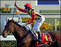 Falbrav Says Farewell with Hong Kong Cup Romp Falbrav Says Farewell with Hong Kong Cup Romp