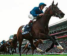 Hong Kong Racing Report: Sunline, Fantastic Light Shine Hong Kong Racing Report: Sunline, Fantastic Light Shine