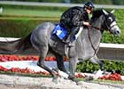 Buyer Interest High at Fasig Sale