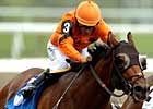 Proud Jefe Ready for KY Cup Juvenile Proud Jefe Ready for KY Cup Juvenile