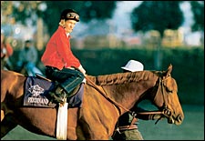 Death of a Derby Winner: Slaughterhouse Likely Fate for Ferdinand Death of a Derby Winner: Slaughterhouse Likely Fate for Ferdinand
