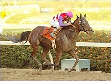 Japanese Mare Rolls to Victory in Dahlia Stakes Japanese Mare Rolls to Victory in Dahlia Stakes