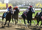 Bute Not in Racing's Best Interest
