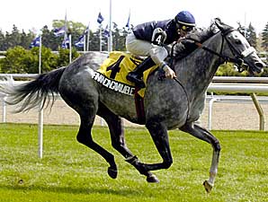 Champion Financingavailable Retired Champion Financingavailable Retired