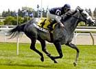 Champion Financingavailable Retired Champion Financingavailable Retired