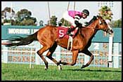 Two-time Turf Champion Flawlessly Dead Two-time Turf Champion Flawlessly Dead