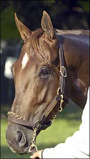 Birthday Boys: Dates of Birth Vary for Derby Contenders Birthday Boys: Dates of Birth Vary for Derby Contenders