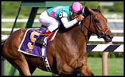 Flute Impressive in Wire-To-Wire Alabama Win Flute Impressive in Wire-To-Wire Alabama Win