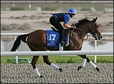 Folk Likely for Kentucky Oaks; Day Pass Still a Question Mark for Derby Folk Likely for Kentucky Oaks; Day Pass Still a Question Mark for Derby