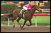 Forest Secrets Ends Summer Colony's Win Streak in Rampart Forest Secrets Ends Summer Colony's Win Streak in Rampart