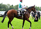 Slideshow: Royal Ascot 2012 Slideshow: Royal Ascot 2012