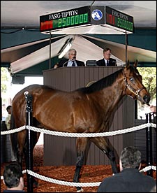 Gross, Average Fall for FT Calder; Storm Cat Colt Brings $2.5 Million Gross, Average Fall for FT Calder; Storm Cat Colt Brings $2.5 Million