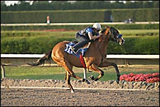 Arch Filly Breaks 10-Second Barrier In Fasig-Tipton Sale Workout Arch Filly Breaks 10-Second Barrier In Fasig-Tipton Sale Workout