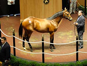 High Buy-Backs and $330k Colt Open FTK High Buy-Backs and $330k Colt Open FTK