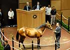 High Buy-Backs and $330k Colt Open FTK