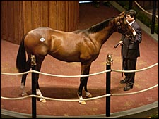 New Kids on the Auction Block: Analyzing First-Crop Sires New Kids on the Auction Block: Analyzing First-Crop Sires