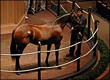 Lion Heart Yearlings Top Opening Session of Fasig-Tipton Sale Lion Heart Yearlings Top Opening Session of Fasig-Tipton Sale