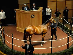Madcap Escapade Brings $3.1 Million Madcap Escapade Brings $3.1 Million
