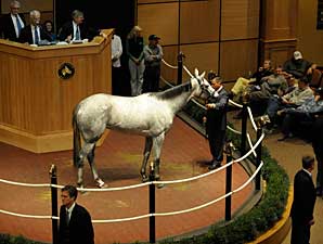 Stardom Bound Sells for $5.7 Million Stardom Bound Sells for $5.7 Million