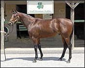 Median Sets Record at Fasig-Tipton Midlantic Sale Median Sets Record at Fasig-Tipton Midlantic Sale