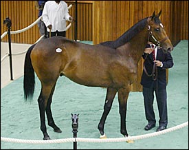 F-T Saratoga Up All Around; $1.2M Storm Cat Colt Tops Final Session F-T Saratoga Up All Around; $1.2M Storm Cat Colt Tops Final Session