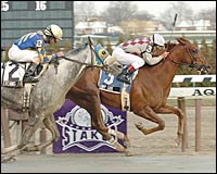 Special Five Heading Toward Pimlico Special; Ten Most Wanted Out Special Five Heading Toward Pimlico Special; Ten Most Wanted Out