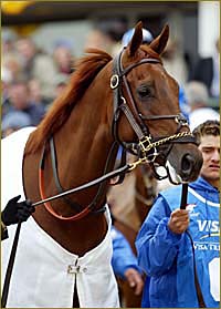 Funny Cide