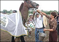 Saratoga Notebook: Funny Cide Improves; Romans Rolls; Numbers Up and Down Saratoga Notebook: Funny Cide Improves; Romans Rolls; Numbers Up and Down