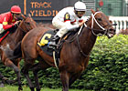Gaff to Journeyman Stud