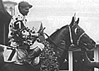 Triple Crown Heroes: Gallant Fox