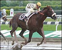 Garnered Takes Jaipur After Race Switched to Main Track Garnered Takes Jaipur After Race Switched to Main Track