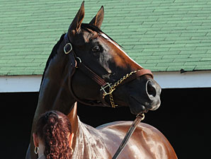 Gemologist - Churchill Downs 5/2/2012
