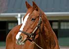 Derby Winner Genuine Risk Dies