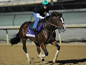 Trainer Bush Sunny On Get Stormy Trainer Bush Sunny On Get Stormy