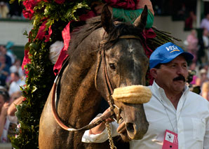Giacomo Sires First Foal Giacomo Sires First Foal