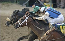 Shockomo: Steve Haskin's Kentucky Derby Story Shockomo: Steve Haskin's Kentucky Derby Story